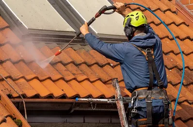 Démoussage et hydrofuge de toiture à la Neuville
